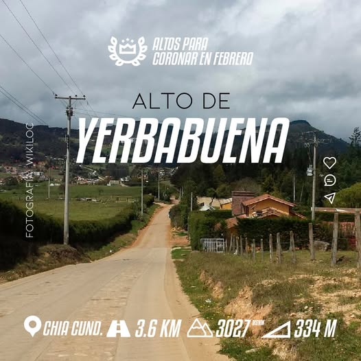 Yerbabuena